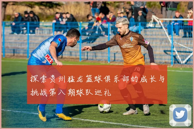探索贵州猛龙篮球俱乐部的成长与挑战第八期球队巡礼