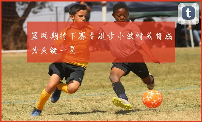 篮网期待下赛季进步小波特或将成为关键一员