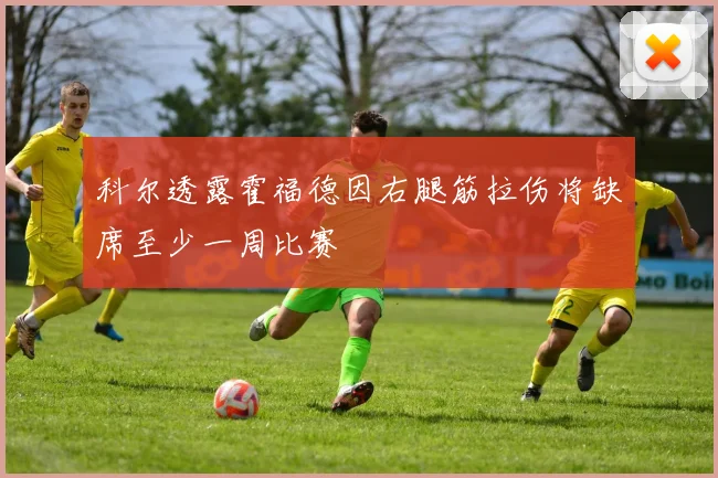 科尔透露霍福德因右腿筋拉伤将缺席至少一周比赛