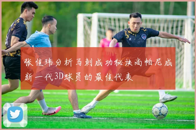 张佳玮分析马刺成功秘诀尚帕尼成新一代3D球员的最佳代表