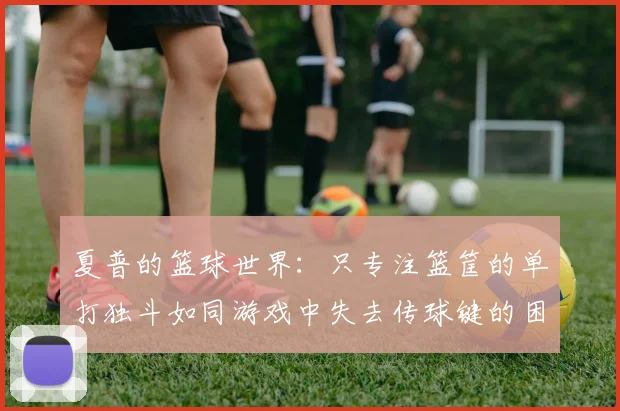 夏普的篮球世界：只专注篮筐的单打独斗如同游戏中失去传球键的困境