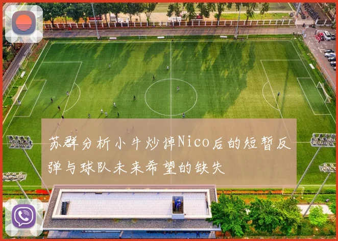 苏群分析小牛炒掉Nico后的短暂反弹与球队未来希望的缺失