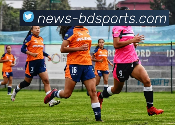 半岛体育品牌故事